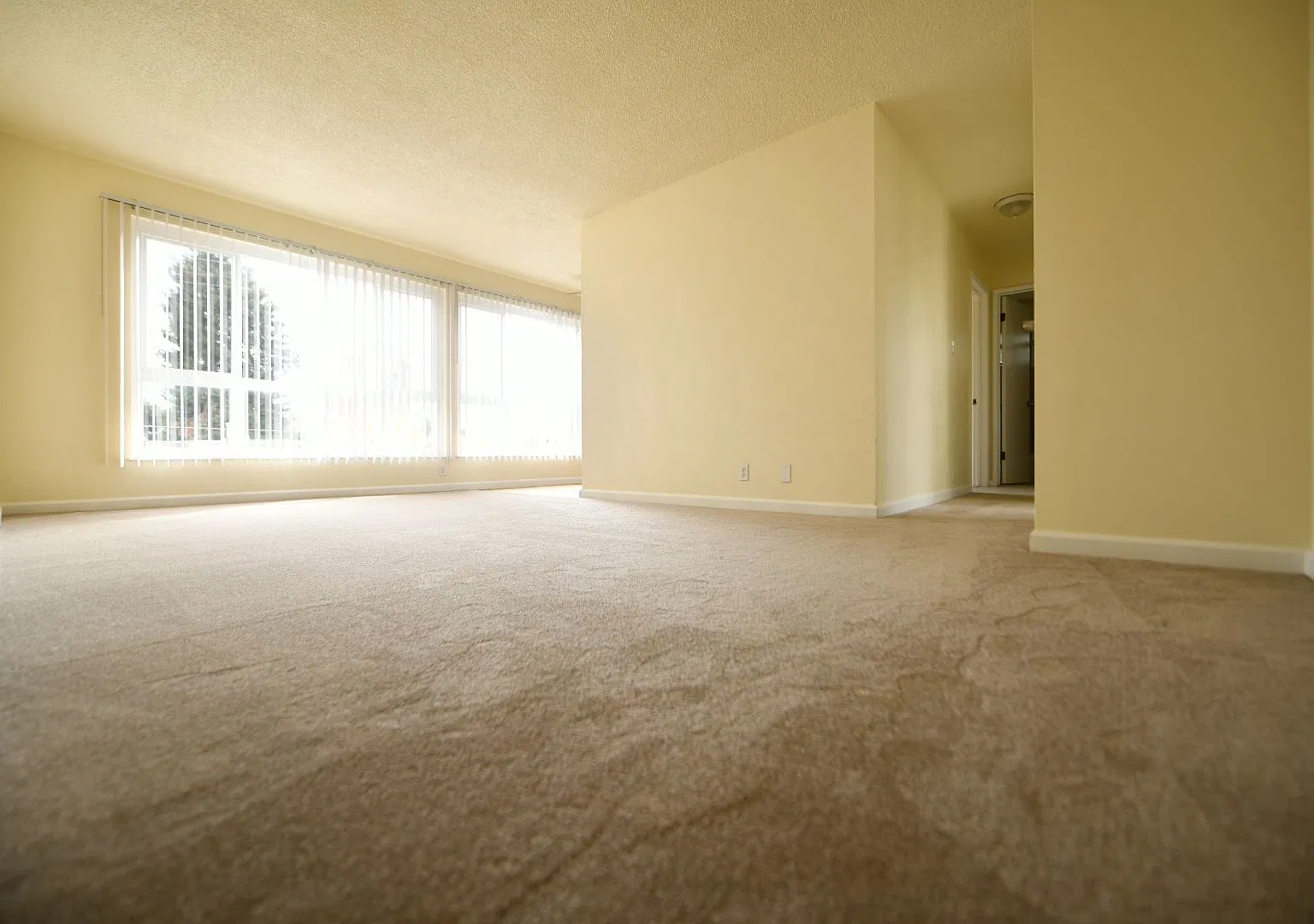 433 Perkins St. — Photo 3