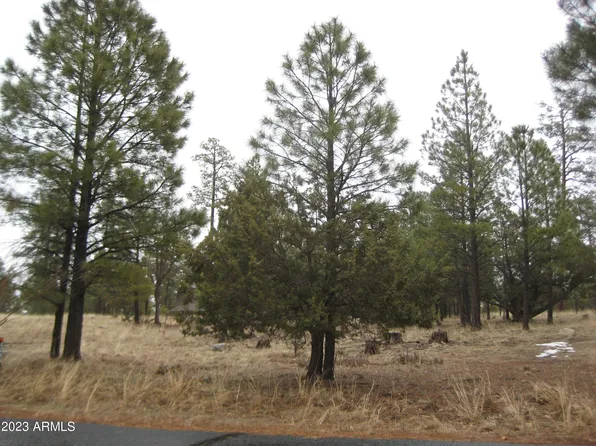 4282 JUNIPER Drive #103, Happy Jack, AZ 86024