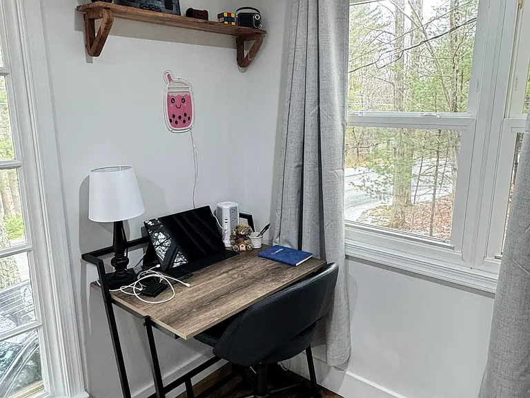 209 Shiny Mountain Rd — Photo 15