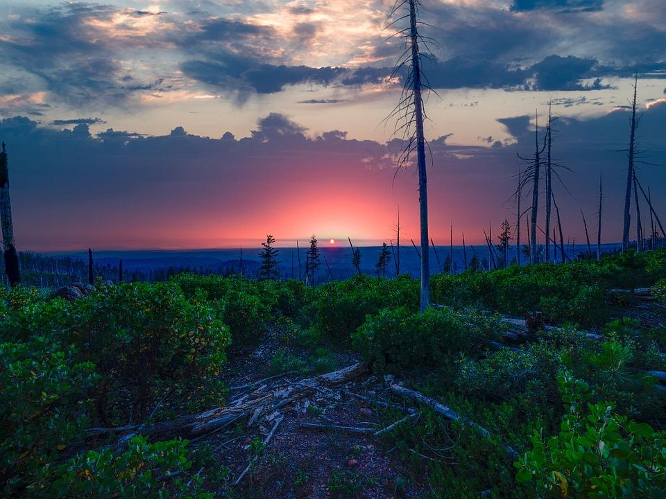E Of Foresthill, Emigrant Gap, CA 95715 MLS 223087599 Zillow