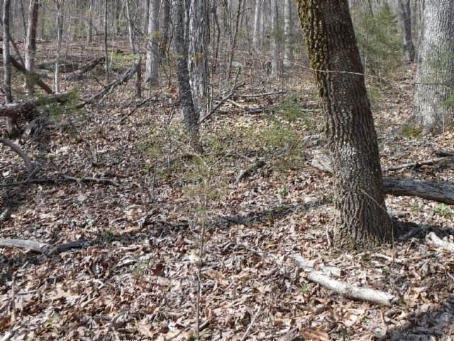 1st image of 472 Mountain Dr Lot 136-139