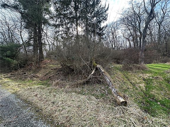 2nd image of 116 Seipe Ln
