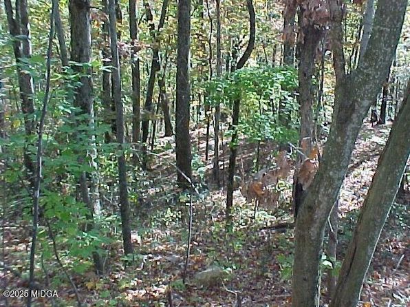 2255 Nick A Jack Rd, Flintstone, GA 30725