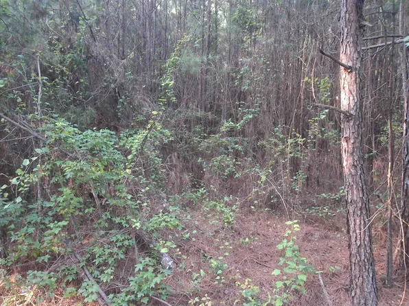 Lot 5-D McGregor Circle, Lake City, SC 29560