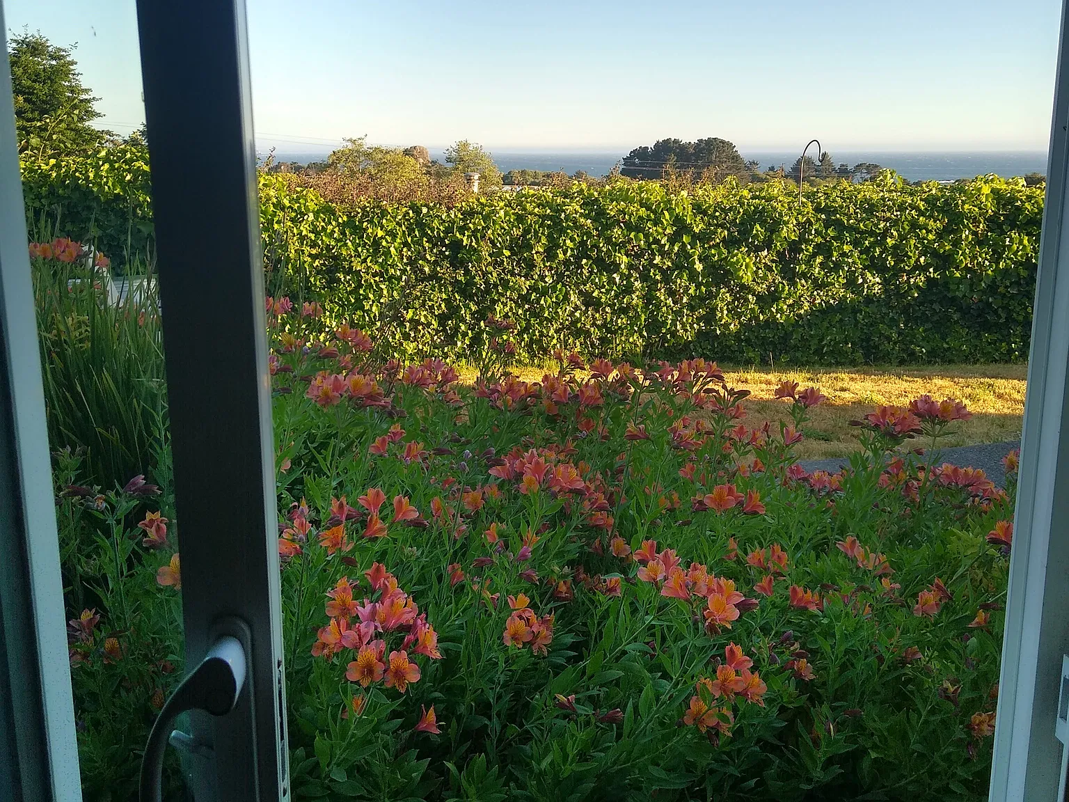 1 bed, 1200 sqft, $800 — Photo 4