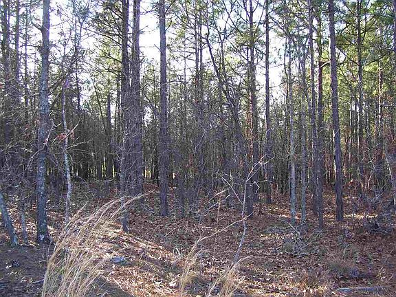 3rd image of Lot 24 Eagle Drive