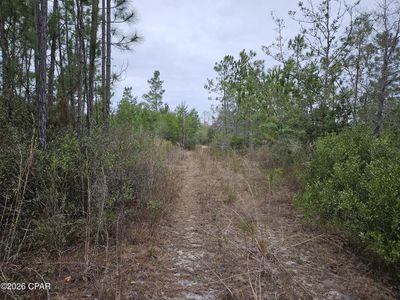 0 Singer Rd, Youngstown, FL, 32466