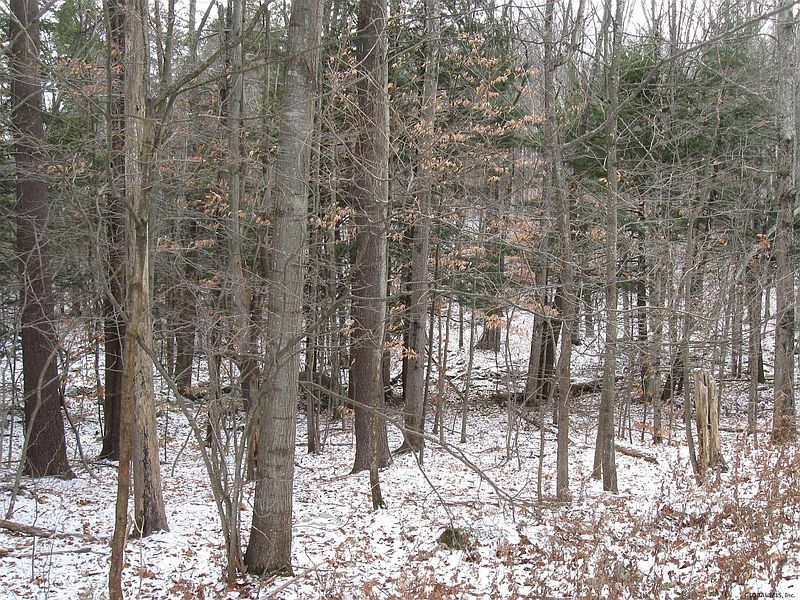 5th image of NY 43
