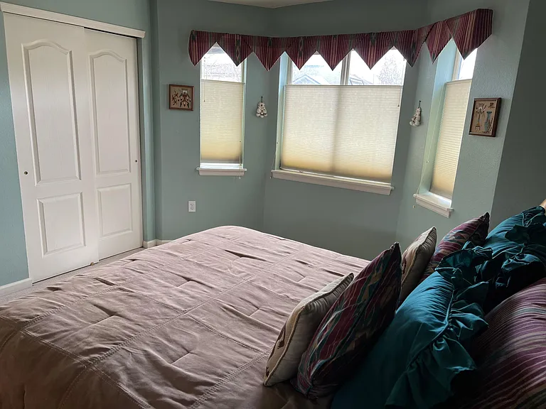 bedroom closet and window