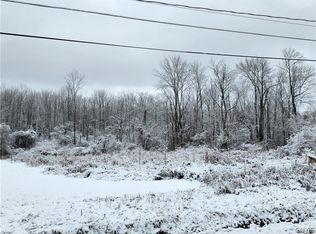 344 Ferncliff Rd, Mohawk, NY 13407