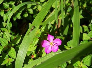 16th Ave, Keaau, HI 96749