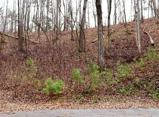 145 Hopewell Dr, Ranger, GA 30734