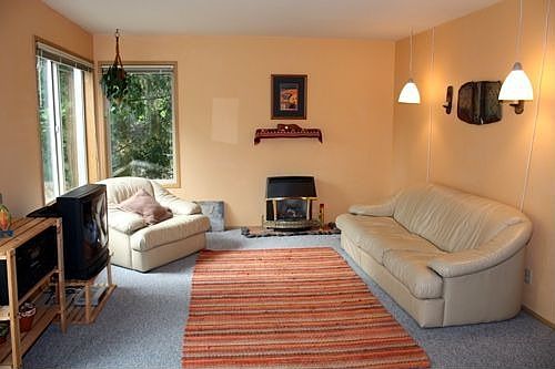 Cozy living room with gas fireplace
