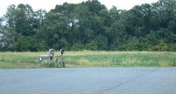 1st image of 1401 Eagles Grove Ct
