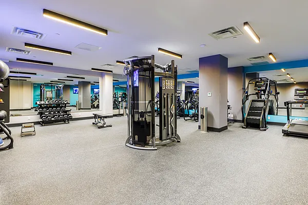 Rented by MNS | media 9