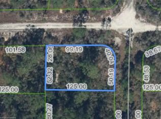 284 RAINBOW DRIVE LOT 20, LAKE PLACID, FL 33852