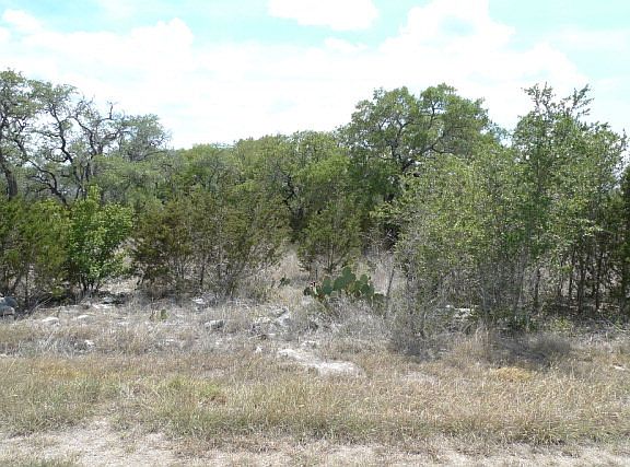 5th image of 124 Summer Glen Ln