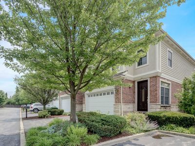 903 S Plum Grove Rd #903, Palatine, IL, 60067