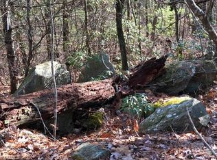 Lot 8 Feed Rock Rd #K-FR8, Brevard, NC 28712
