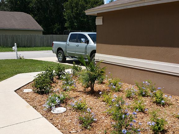 Front flower bed 