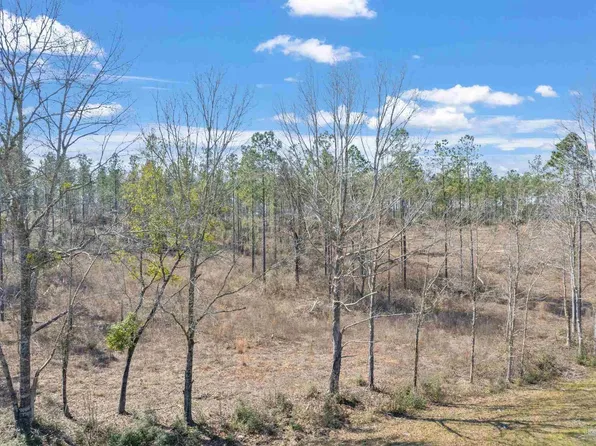 LOT 4 Highway 178, Jay, FL 32565