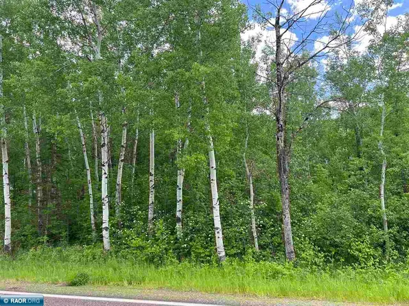 Tbd Highway 22, Angora, MN 55703