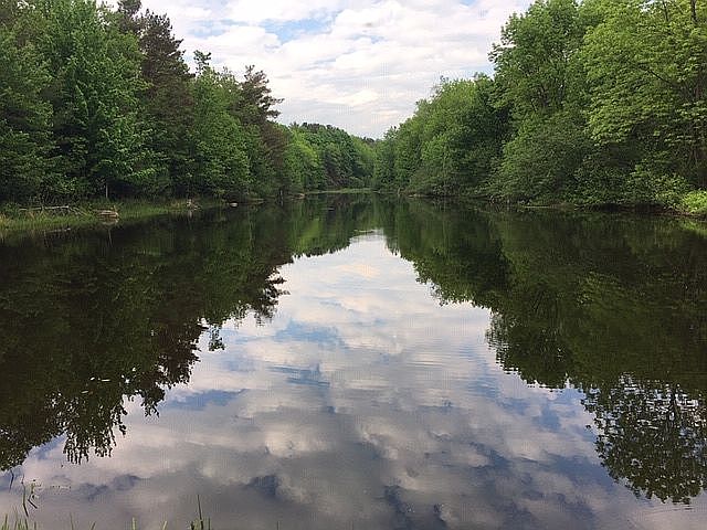 2nd image of Sharp Rd