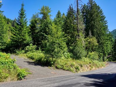 Bear Crk LOT 5-4, Carson, WA, 98610