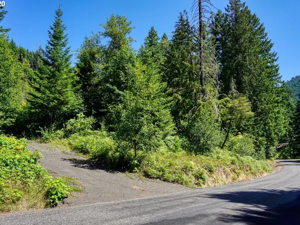 Bear Crk Lot 5-4, Carson, WA 98610