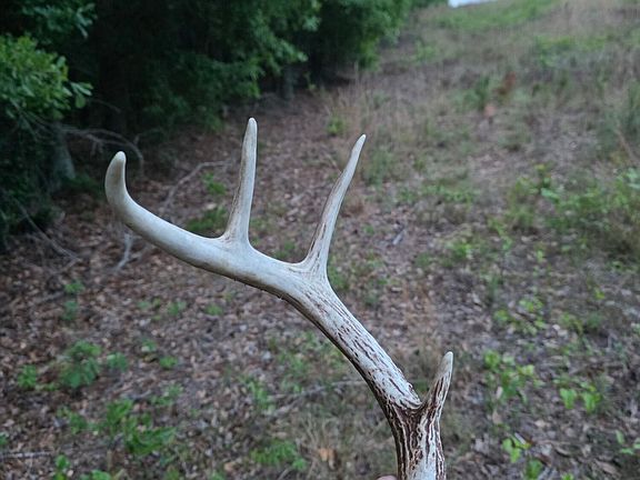 4th image of 11a Bradleyville Road