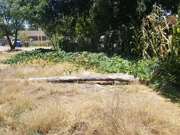 2nd image of 2920 Alloway Ln