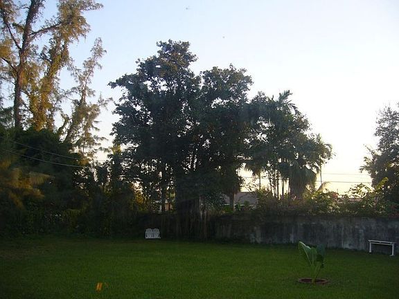 Over-sized lot with park like area 