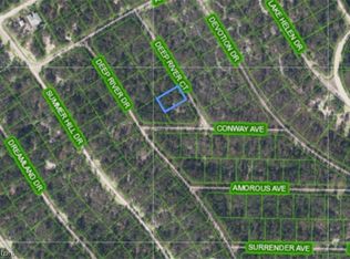516 Deep River Ct, Lake Placid, FL 33852
