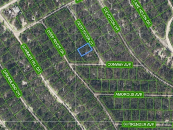 516 Deep River Ct, Lake Placid, FL 33852
