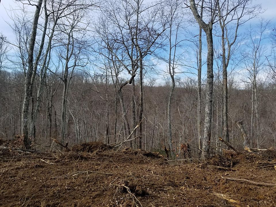 2nd image of 0 Hurricane Hollow Rd #11