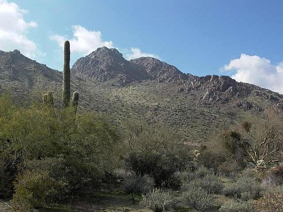 2nd image of 12031 E CASITAS DEL RIO Drive #21