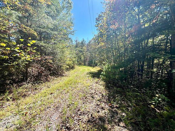 4th image of 6 Acres Creek Hollow Way