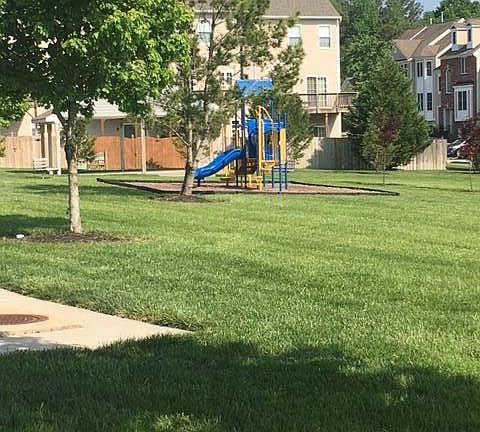 4th image of 10286 Ibis Dr