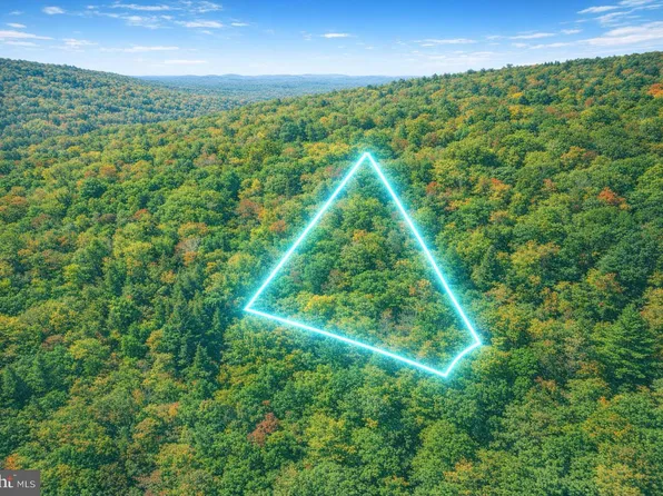 LOT 168 Forest Ridge Trl, Fort Valley, VA 22652