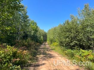 80 Acres Off, Crystal Falls, MI 49920