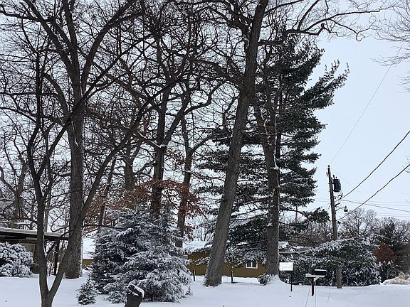 5th image of 15549 Crystal Acres Dr