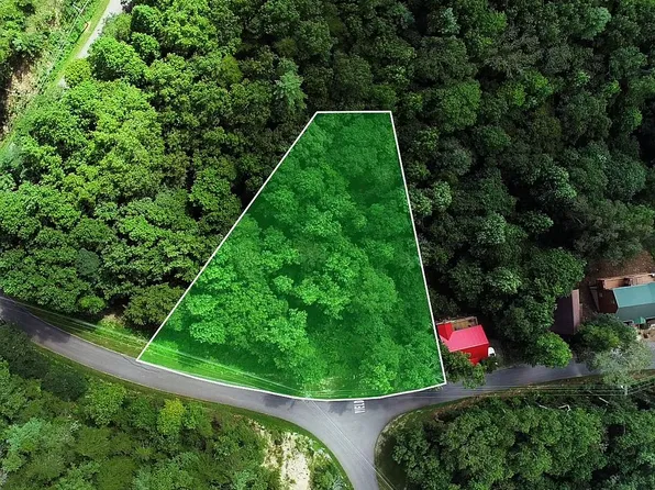 1005 Laurel Rd, Townsend, TN 37882
