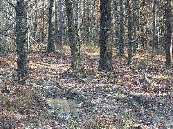 0 Bootleg Bnd #2182, Guild, TN 37340