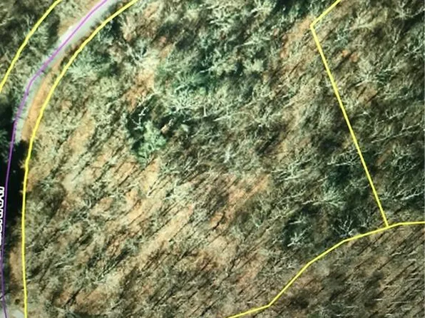 99999 Old Murray Rd, Mars Hill, NC 28754