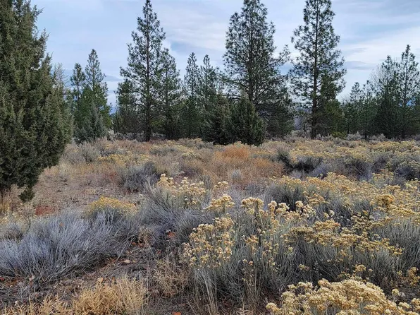 LOT 91 Lake Shore Dr, Weed, CA 96094