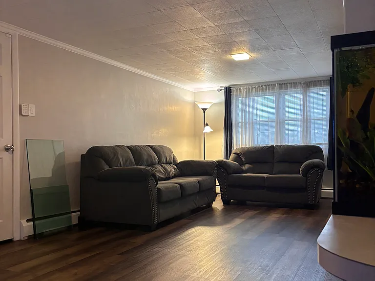 Lower level family room