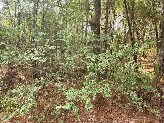 3rd image of LOT 2 Cherry Tree Ln