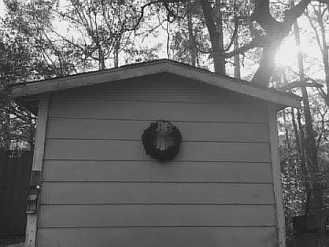 Backyard shed