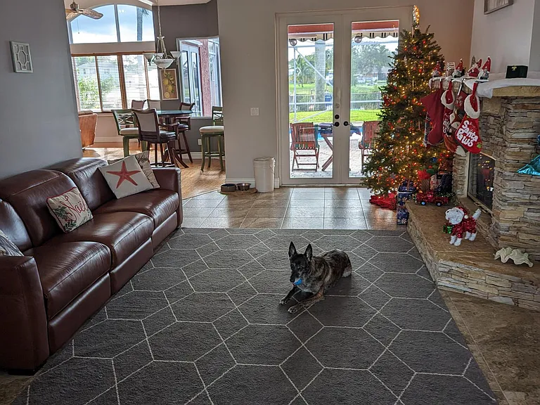 Welcome inside! The front door opens into the grand entryway equipped with a seating area (leather couch electronically flattens into a guest bed) and an ornate stone fireplace (fully functional). Dog not included.