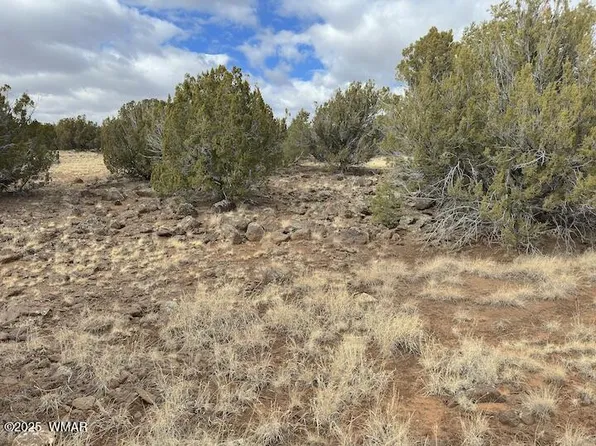51 8060th, Concho, AZ 85924